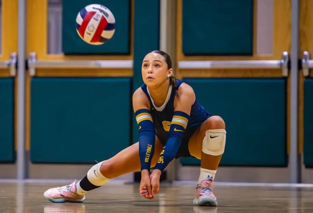 Courtesy: Amelia Colón