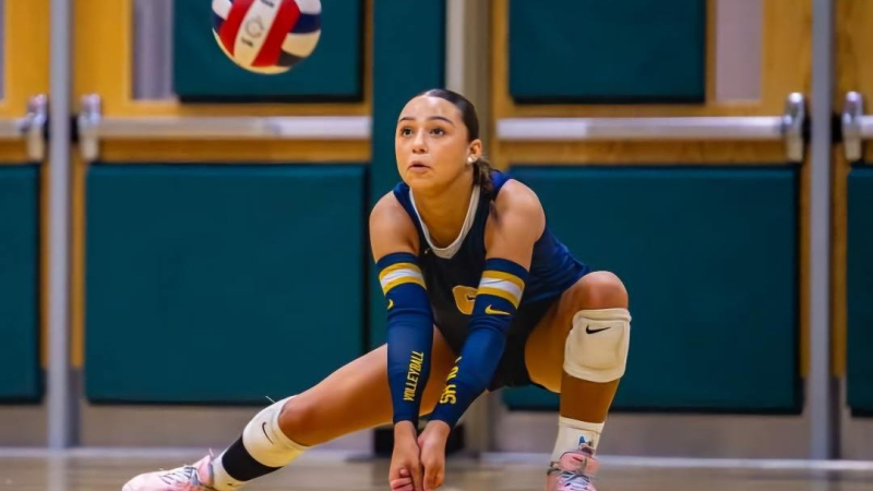 Courtesy: Amelia Colón